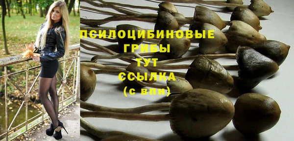 альфа пвп Ельня