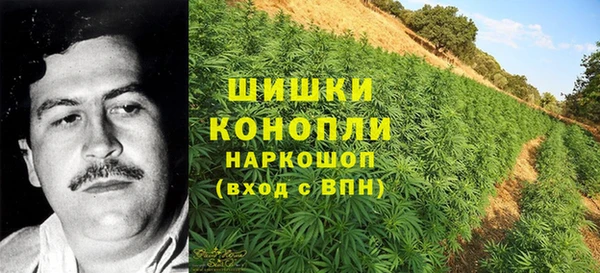 дживик Елизово